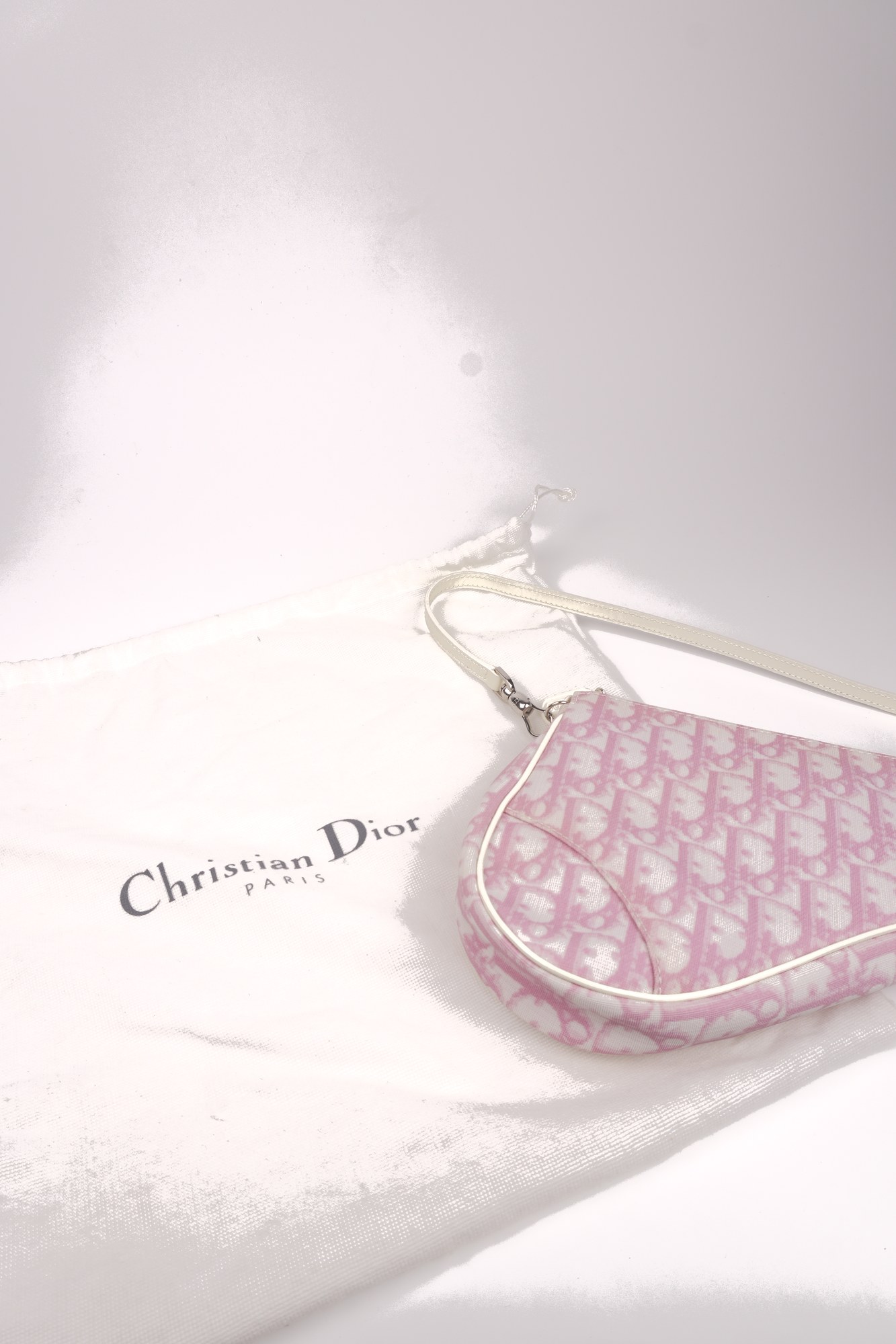 Christian Dior Trotter Canvas Saddle Pochette