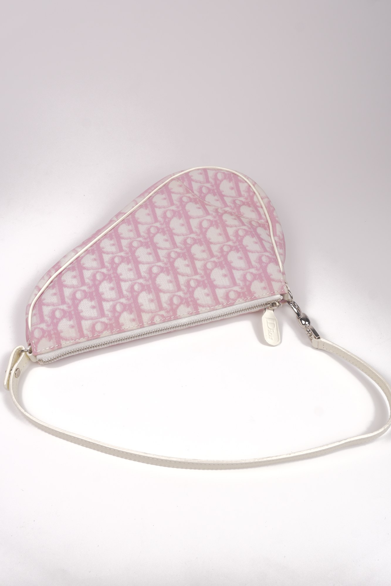 Christian Dior Trotter Canvas Saddle Pochette