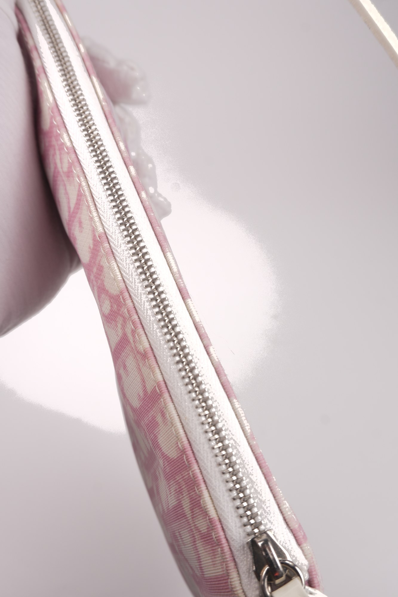 Christian Dior Trotter Canvas Saddle Pochette