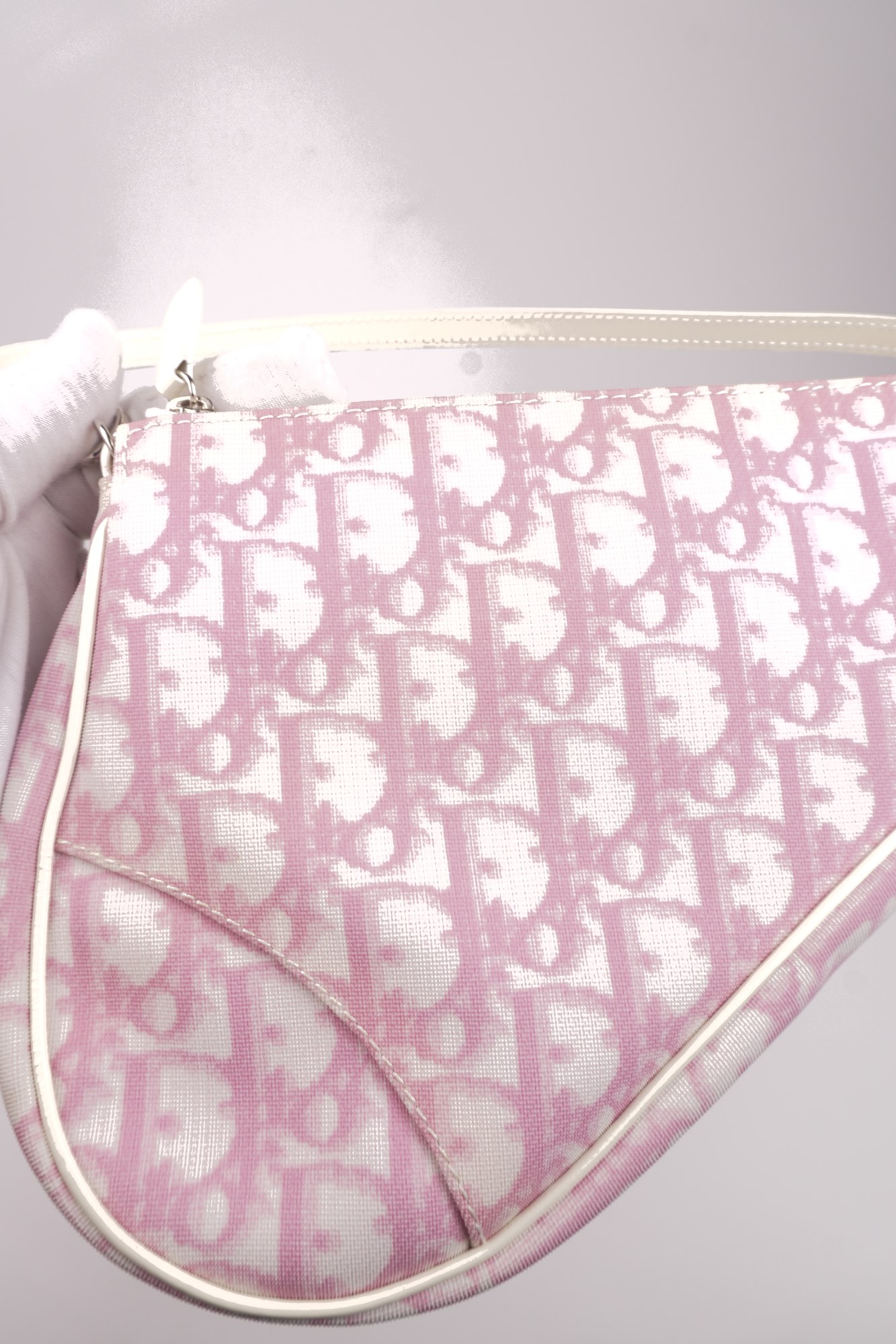 Christian Dior Trotter Canvas Saddle Pochette