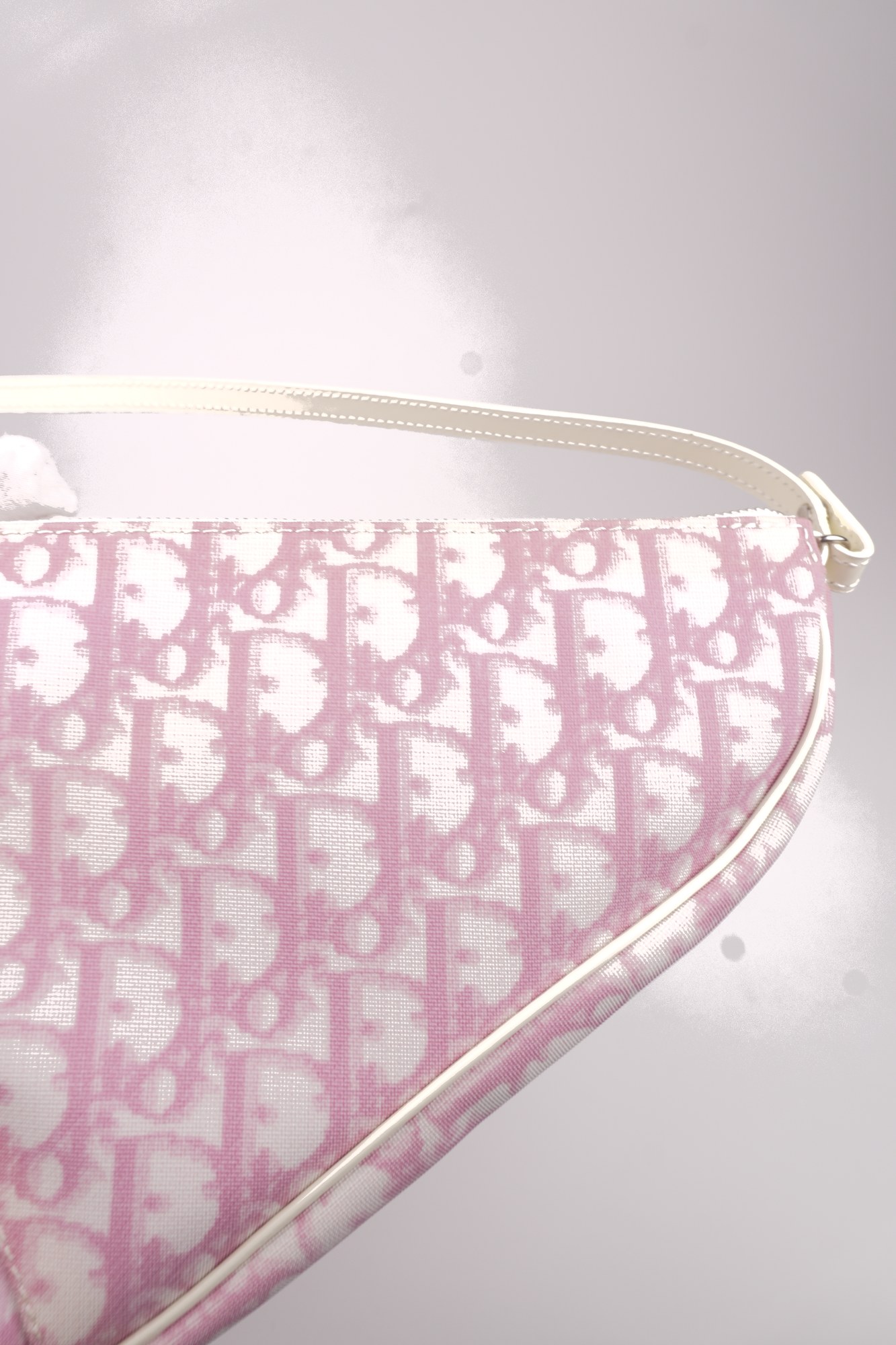Christian Dior Trotter Canvas Saddle Pochette