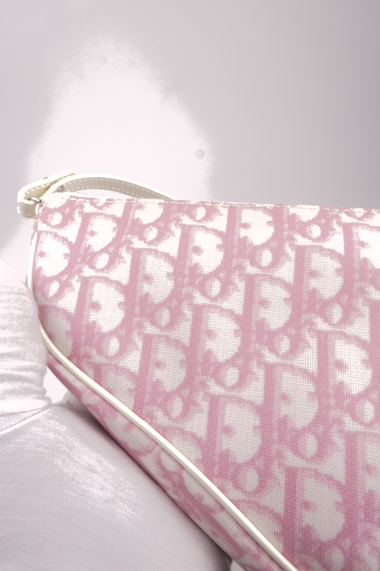 Christian Dior Trotter Canvas Saddle Pochette