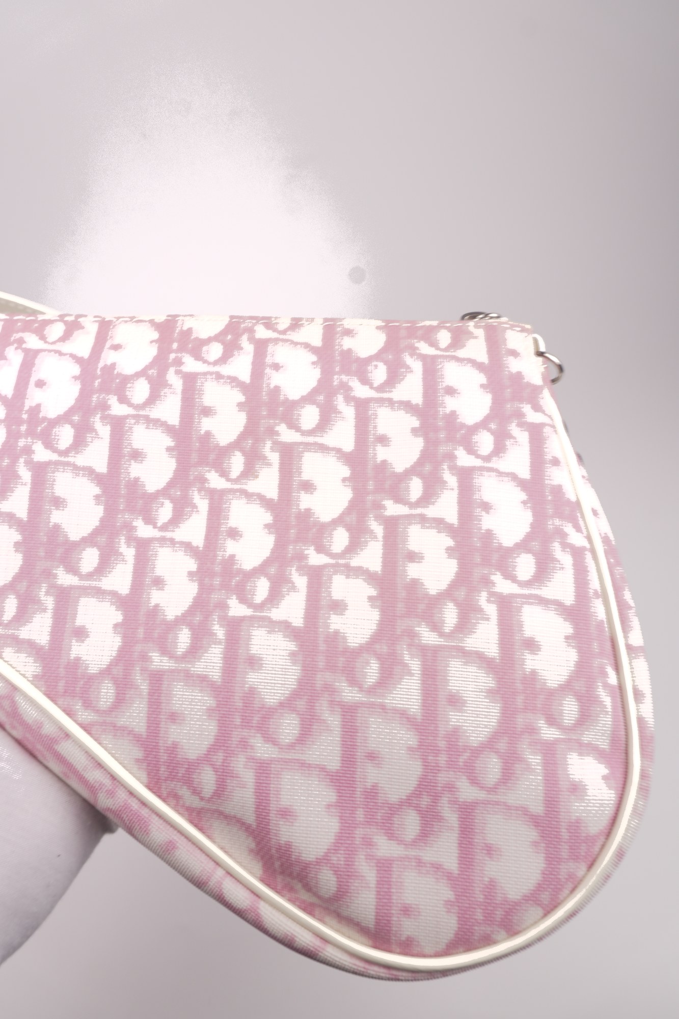 Christian Dior Trotter Canvas Saddle Pochette